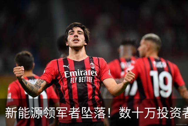 新能源领军者坠落！数十万投资者面临信任危机