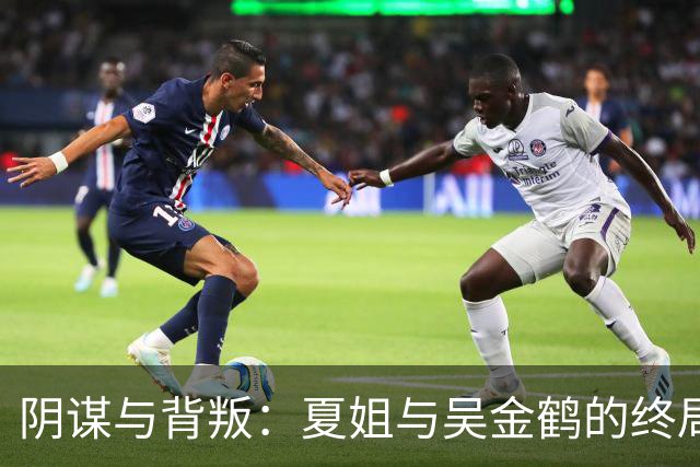 阴谋与背叛：夏姐与吴金鹤的终局之战
